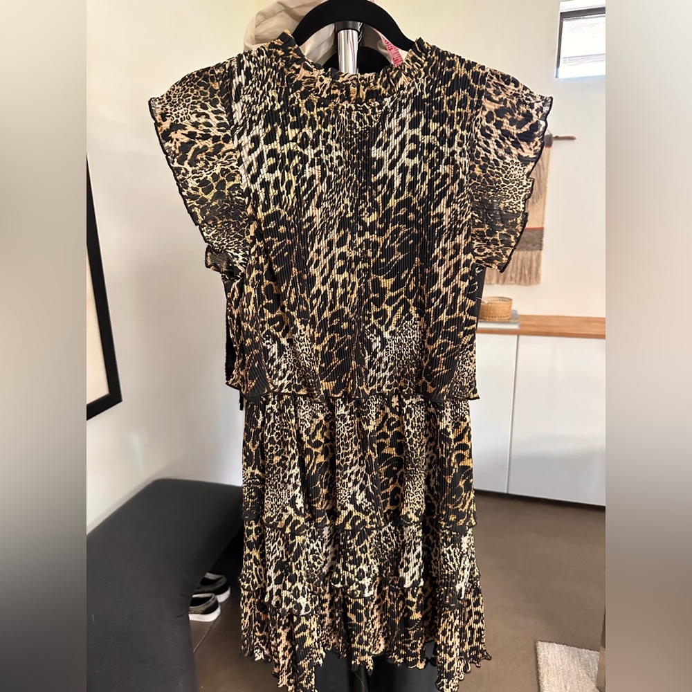 Mellóday Leopard Dress - Picture 3 of 15